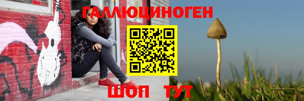Галлюциногенные грибы мухоморы  купить  цена  Скопин  Вход с VPN 