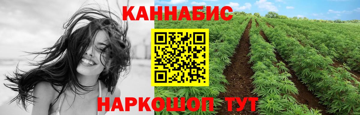 Канабис Amnesia  Конопля ГИДРОПОН  Вход с VPN  Шишки марихуана конопля  Скопин  Бошки Шишки сатива 